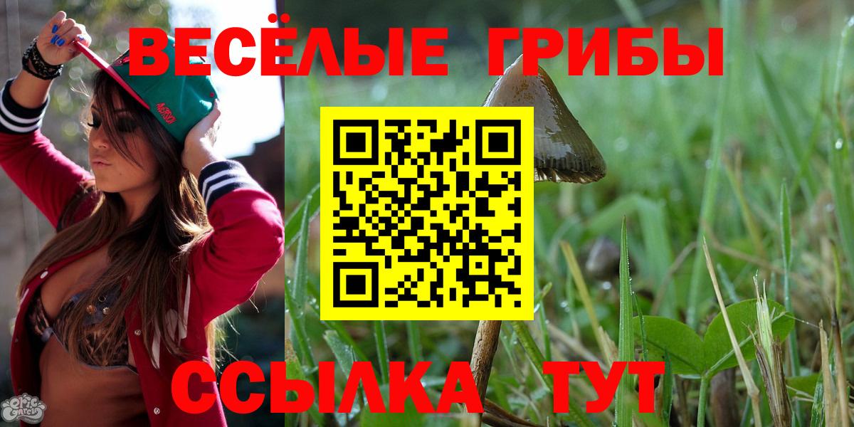Псилоцибиновые грибы Psilocybine cubensis Малоярославец