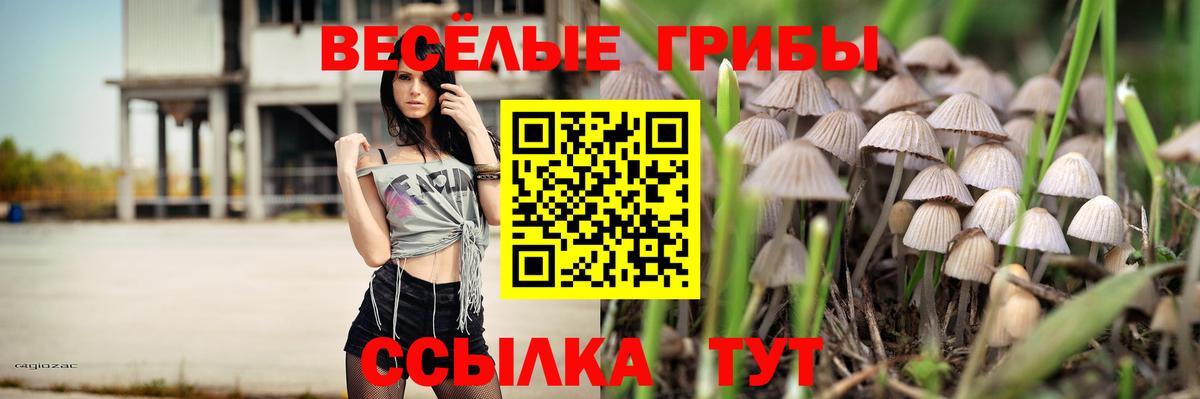 Псилоцибиновые грибы GOLDEN TEACHER  Вход с VPN  Малоярославец  Псилоцибиновые грибы Psilocybe 