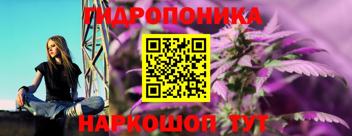Канабис индика  Конопля план  Малоярославец  Вход с VPN  Бошки Шишки гибрид 
